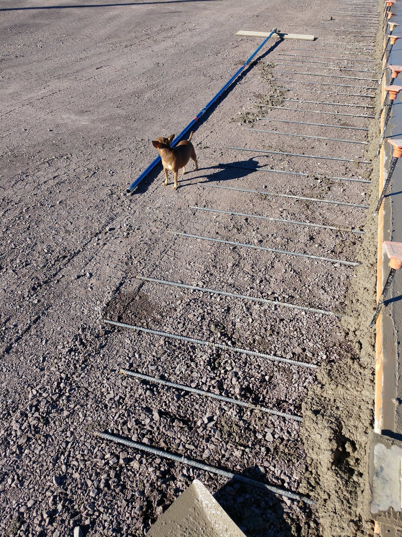 The rebar mat tied out over the compacted base before the pour